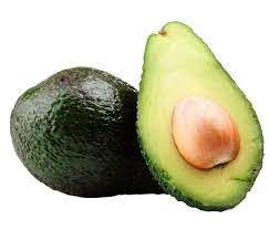 Fuerte Avocado Exotic Fruit SF Traders