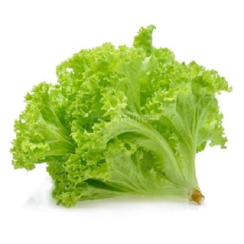 SALAD LEAVES (SALAD PATTA) 250G SF Traders