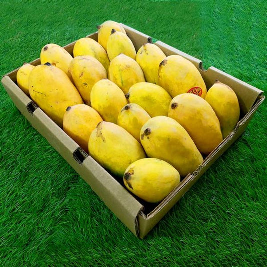 SINDHRI MANGO 1 KG (Pre-Order) SF Traders