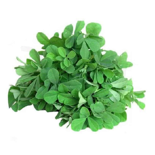 SMALL FENUGREEK (CHOTI METHI) BUNDLE SF Traders