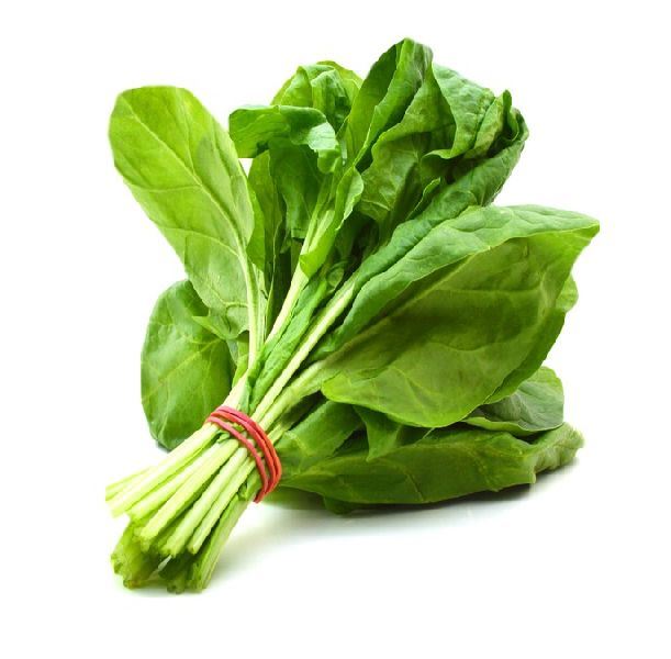 SPINACH (PALAK) 500G SF Traders