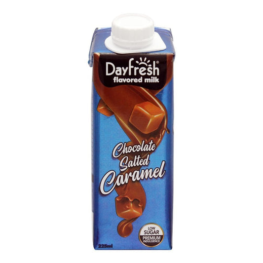 Dayfresh Chocolate Salted Caramel Milk 225ml