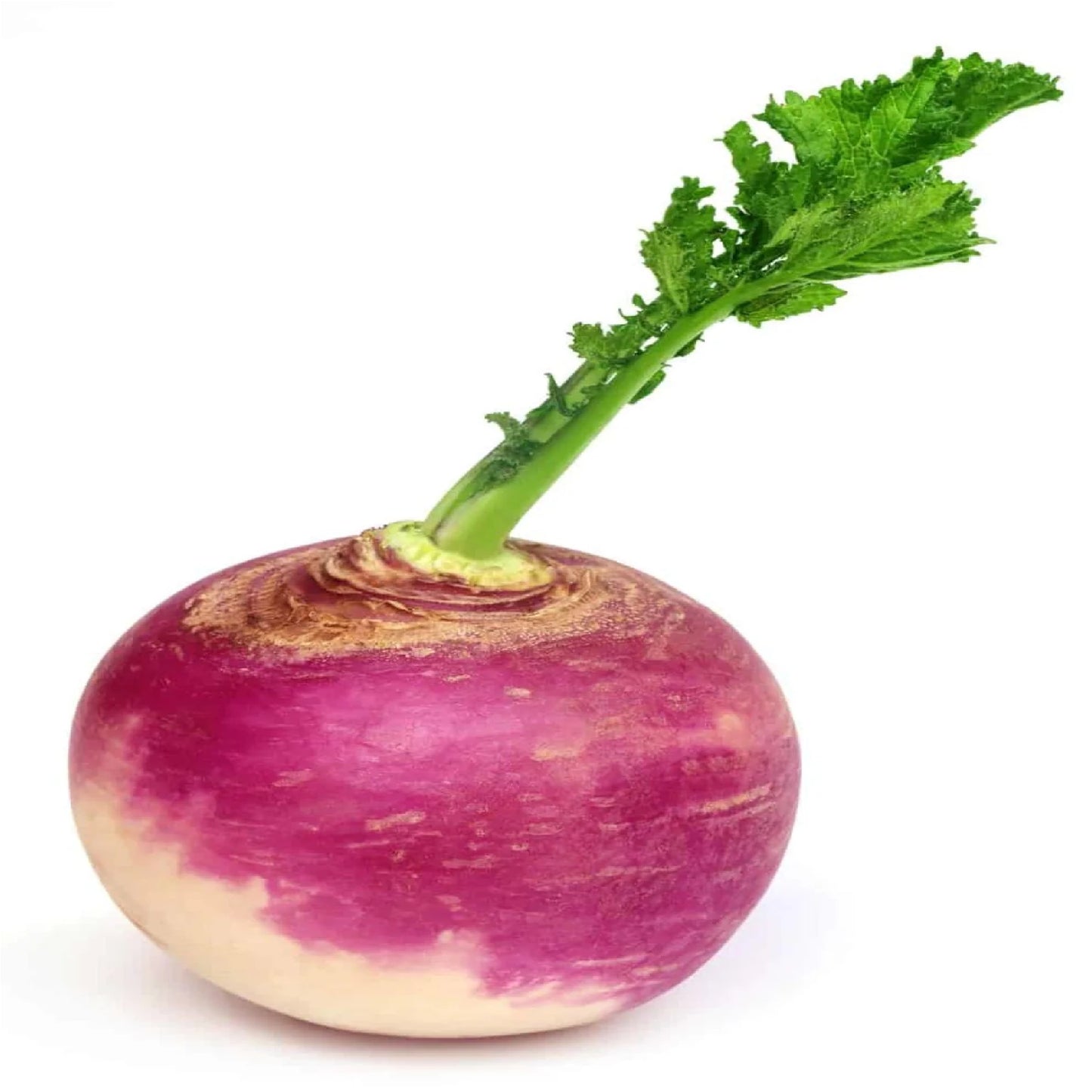 Global Mart Turnip / KG