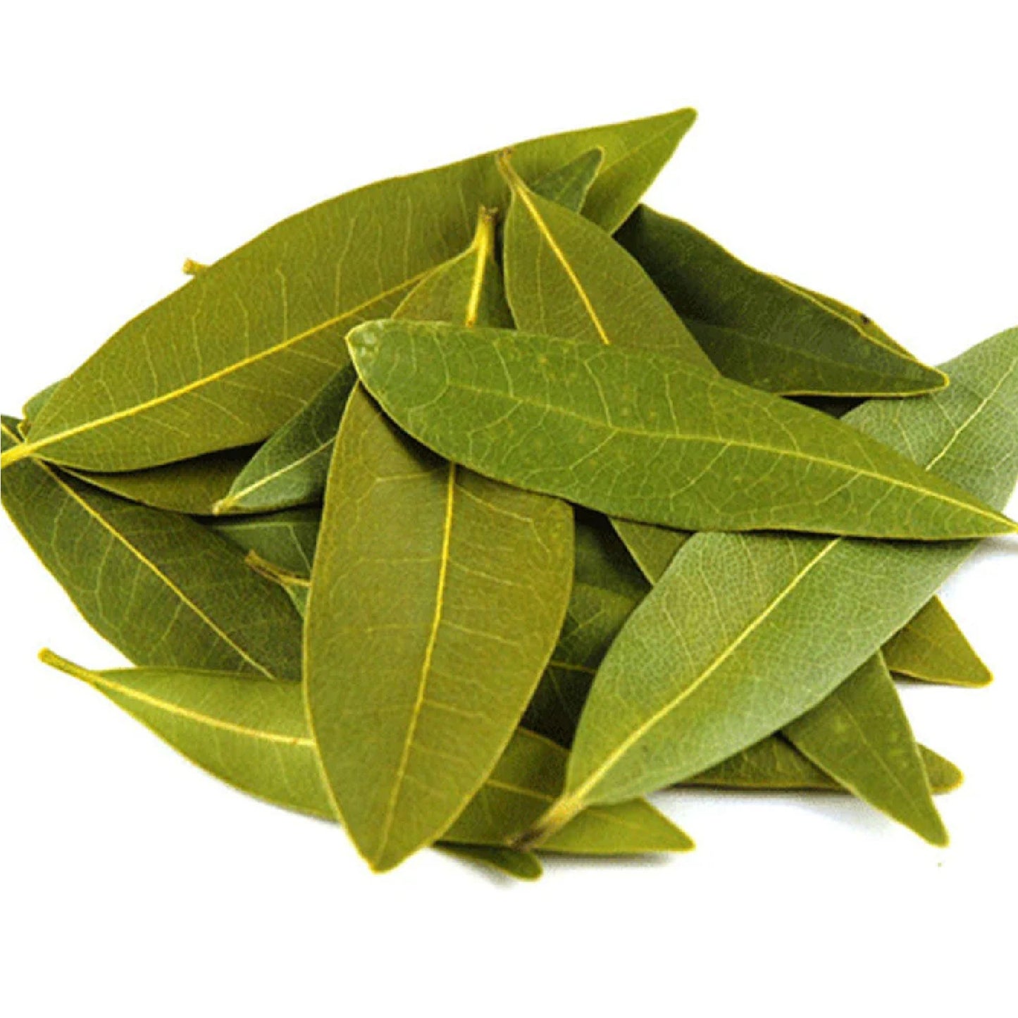 Bay Leaf (Tez Patta) 25Gm